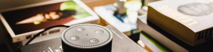 Growing Commerce and Loyalty with Voice Technology – Shop.org ’18