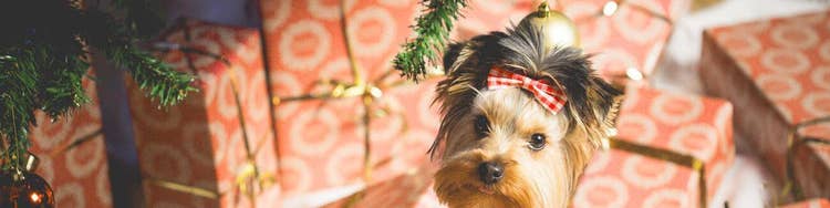 Holiday Customers Don’t Have Long-Term Value. Or Do They?