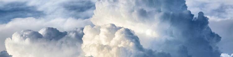 Enroll the Users: A Key to Successful Adoption of Cloud-Based Solutions