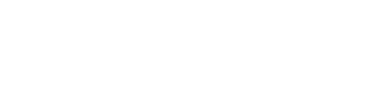 Full Story Logo